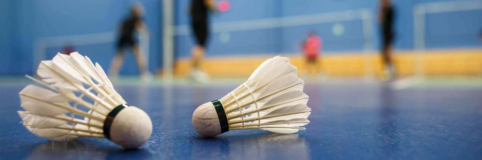 sport_badminton